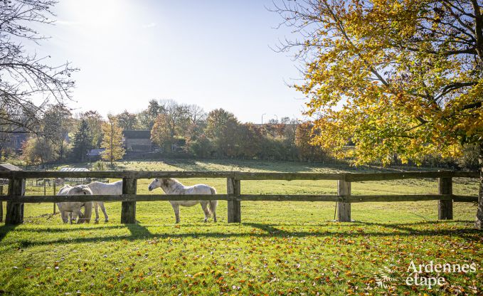 Ferienhaus Bastogne 12 Pers. Ardennen