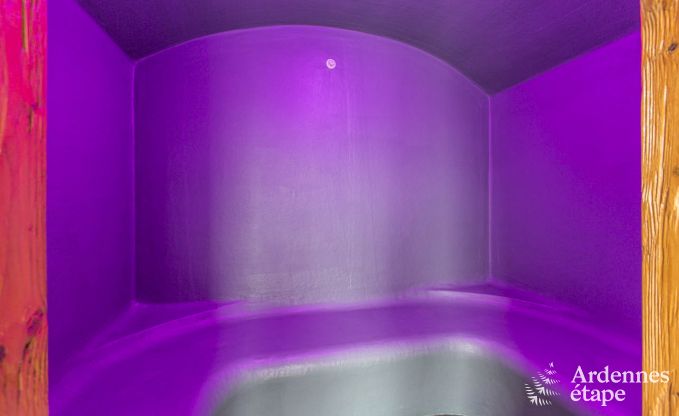 Ferienhaus Bastogne 9 Pers. Ardennen Wellness