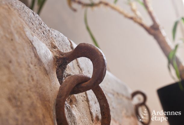 Ferienhaus Bastogne 4 Pers. Ardennen Wellness