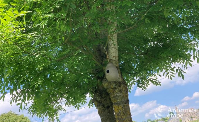 Hbsch restauriertes Ferienhaus in Bastogne, Ardennen