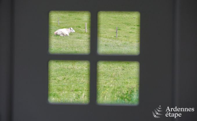 Hbsch restauriertes Ferienhaus in Bastogne, Ardennen