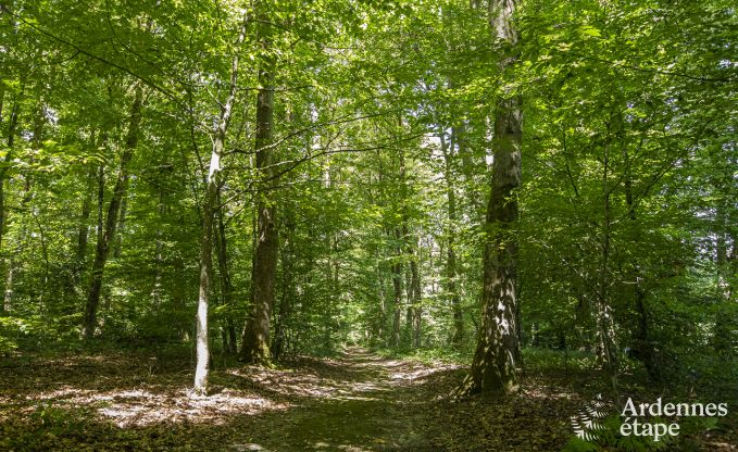 Schloss Bastogne 12/15 Pers. Ardennen Wellness