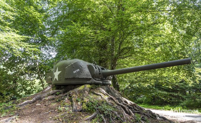 Schloss Bastogne 12/15 Pers. Ardennen Wellness