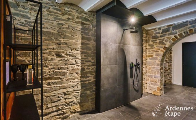 Wundersch�nes Schloss f�r 18 Personen in Tenneville, Ardennen