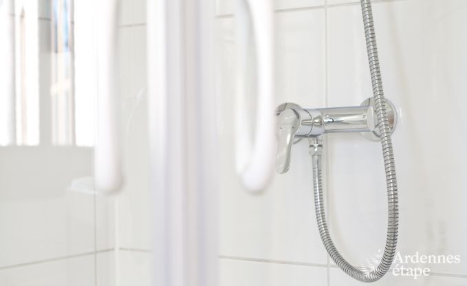 Ferienhaus Beaumont 11 Pers. Ardennen