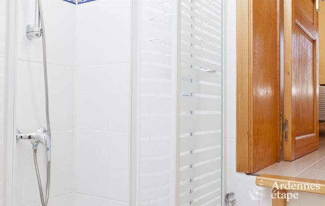 Ferienhaus Beaumont 11 Pers. Ardennen