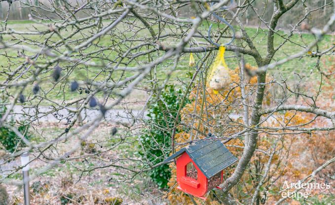 Chalet Beauraing 8 Pers. Ardennen