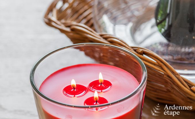 Chalet Beauraing 12 Pers. Ardennen Wellness