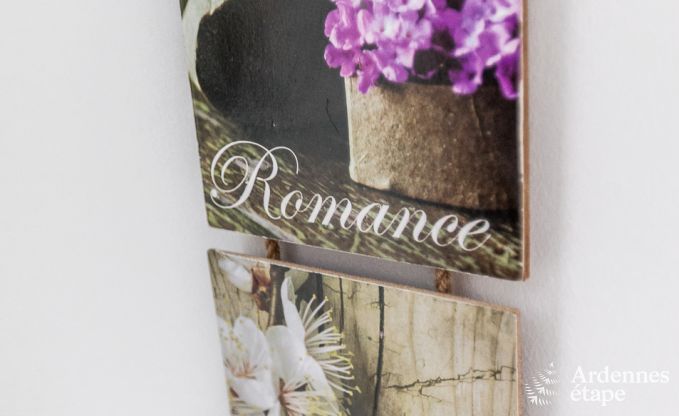 Chalet Beauraing 12 Pers. Ardennen Wellness