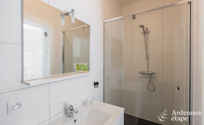 Chalet Beauraing 12 Pers. Ardennen Wellness