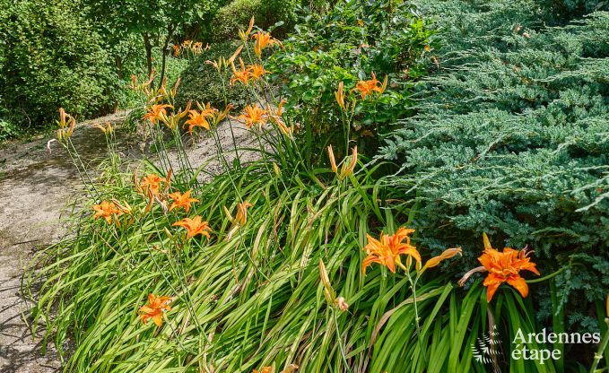 Luxus-Chalet mit Sauna in Beauraing, Ardennen