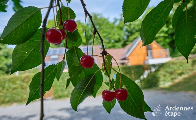 Luxus-Chalet mit Sauna in Beauraing, Ardennen