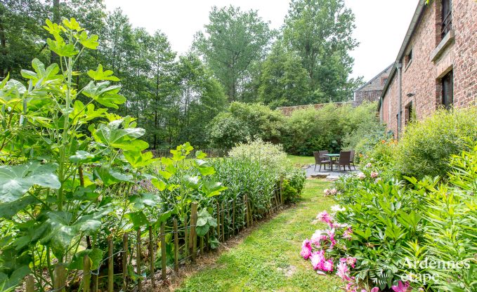Cottage Beauraing 7 Pers. Ardennen
