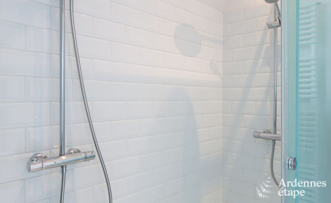 Ferienhaus Beauraing 15 Pers. Ardennen