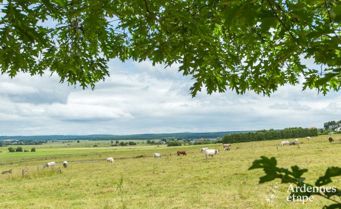 Ferienhaus Beauraing 15 Pers. Ardennen