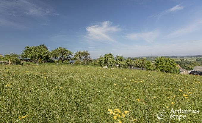 Ferienhaus Beauraing 12 Pers. Ardennen