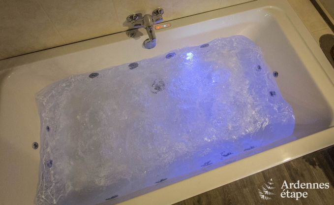 Ferienhaus Beauraing 12 Pers. Ardennen Wellness