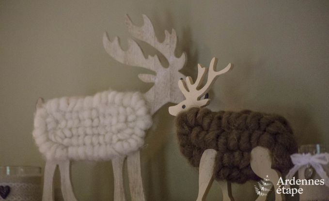 Ferienhaus Beauraing 12 Pers. Ardennen Wellness