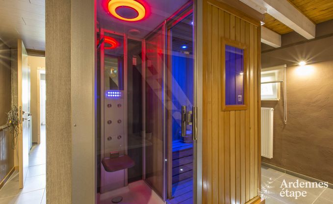 Ferienhaus Beauraing 12 Pers. Ardennen Wellness