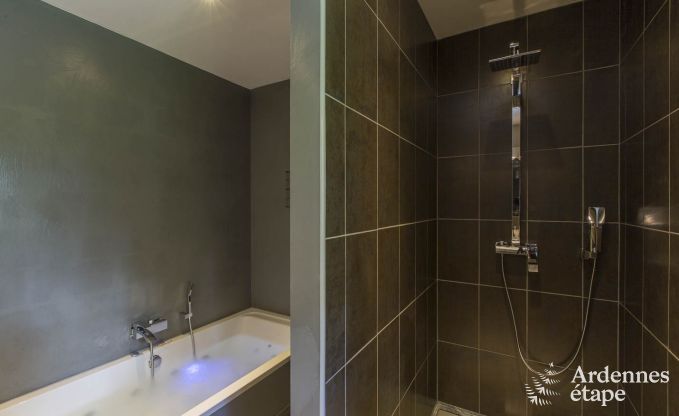 Ferienhaus Beauraing 12 Pers. Ardennen Wellness