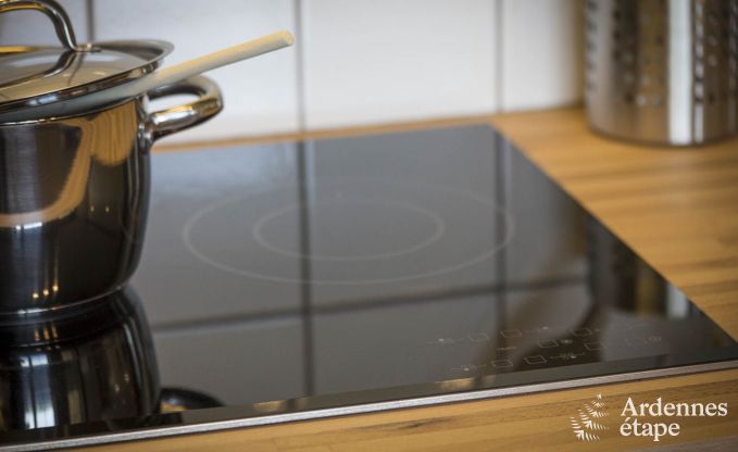 Ferienhaus Beauraing 12 Pers. Ardennen Wellness