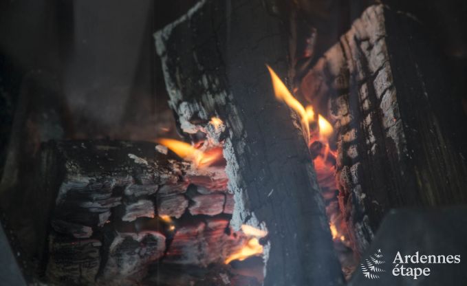 Ferienhaus Beauraing 12 Pers. Ardennen Wellness