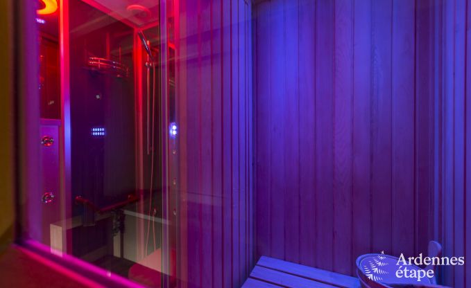 Ferienhaus Beauraing 12 Pers. Ardennen Wellness