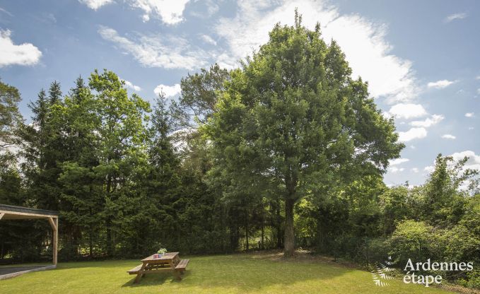 Ferienhaus Beauraing 12 Pers. Ardennen Wellness