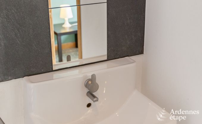 Ferienhaus Beauraing 20/24 Pers. Ardennen Wellness