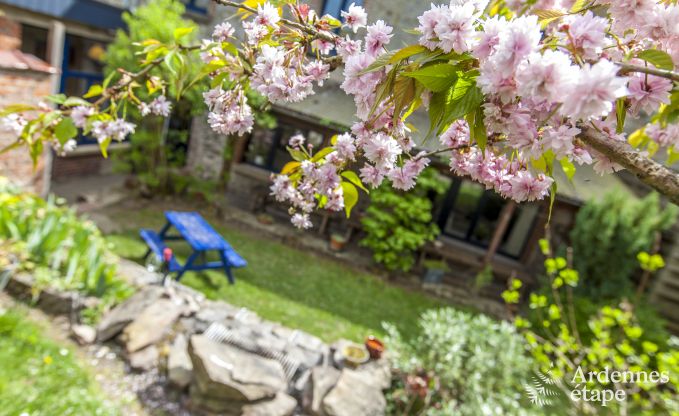 Ferienhaus Beauraing 20/24 Pers. Ardennen Wellness