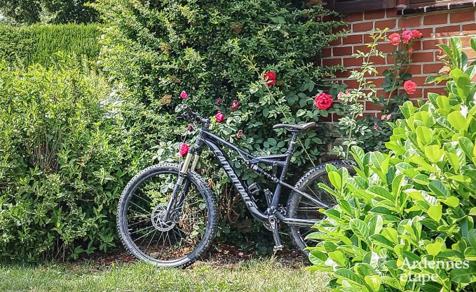 Ferienhaus Beauraing 8 Pers. Ardennen Wellness