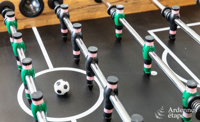 Ferienhaus Beauraing 4 Pers. Ardennen Wellness