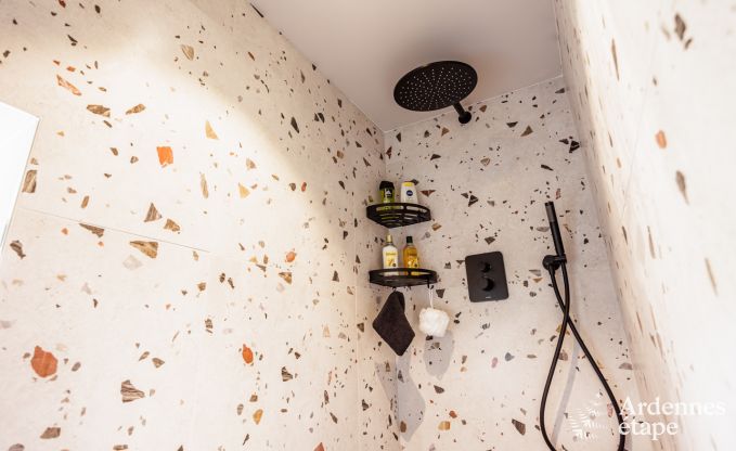 Luxusvilla Beauraing 6 Pers. Ardennen Wellness