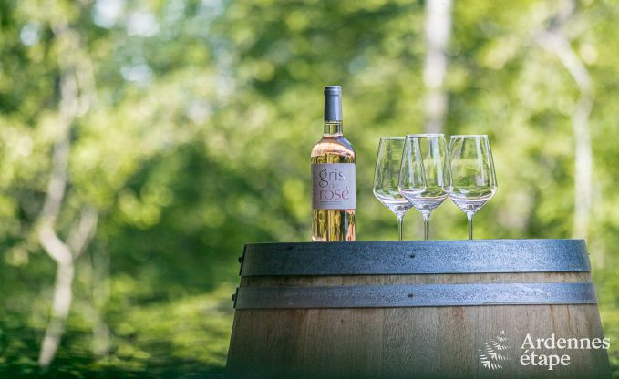 Luxusvilla Beauraing 18 Pers. Ardennen Wellness