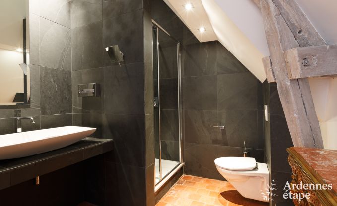 Schloss Beauraing 12 Pers. Ardennen Wellness