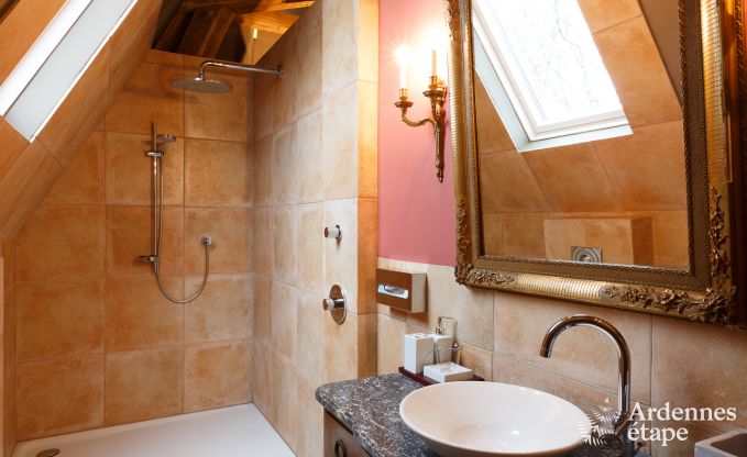 Schloss Beauraing 12 Pers. Ardennen Wellness