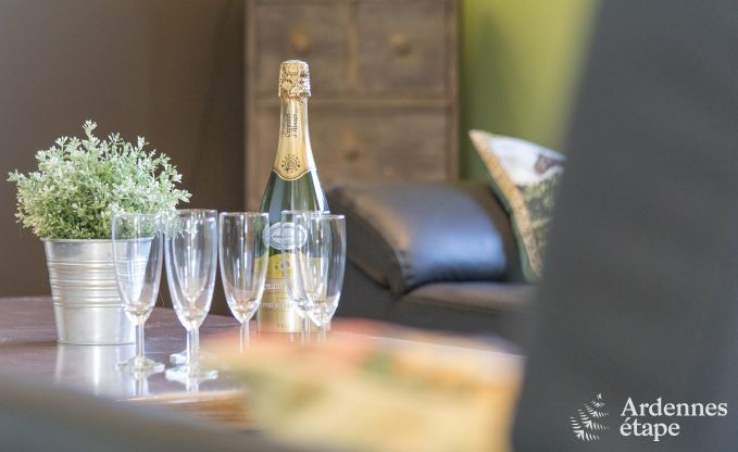 Ferienhaus Beauraing 12 Pers. Ardennen