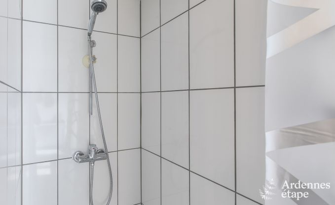 Ferienhaus Beauraing 4/6 Pers. Ardennen