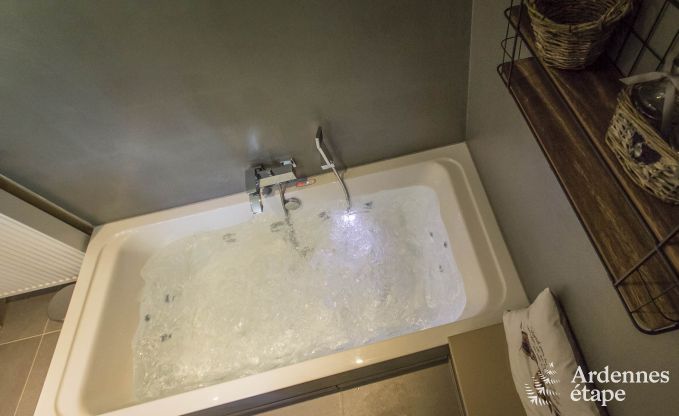 Ferienhaus Beauraing 12 Pers. Ardennen Wellness