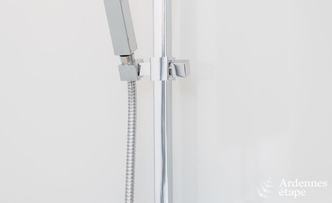 Ferienhaus Beauraing 8 Pers. Ardennen Wellness