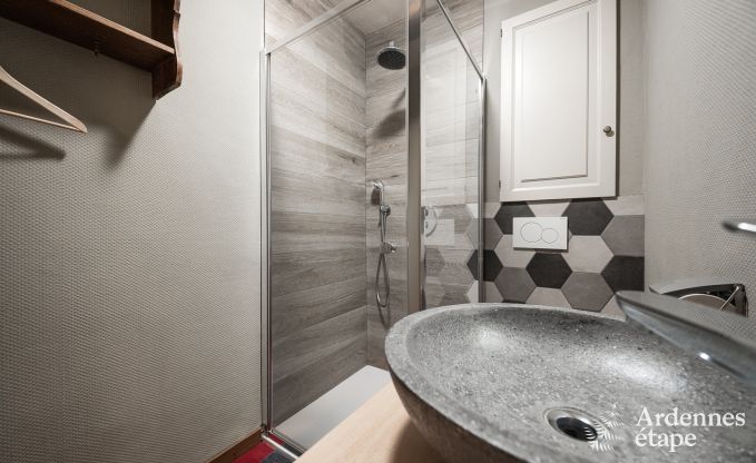 Charme Ferienhaus in Beauraing 15 Pers. Ardennen Schwimmbad Wellness Behinderten gerecht