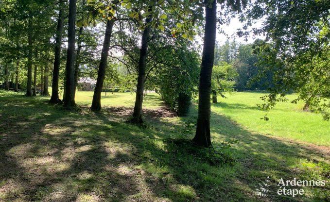 Charmantes und ger�umiges Ferienhaus mit Pool in Beauraing, Ardennen