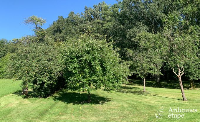 Charmantes und ger�umiges Ferienhaus mit Pool in Beauraing, Ardennen