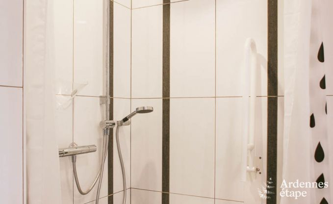 Ferienhaus Bertrix (Jehonville) 11 Pers. Ardennen Behinderten gerecht