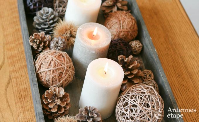 Ferienhaus Bertrix (Jehonville) 10 Pers. Ardennen