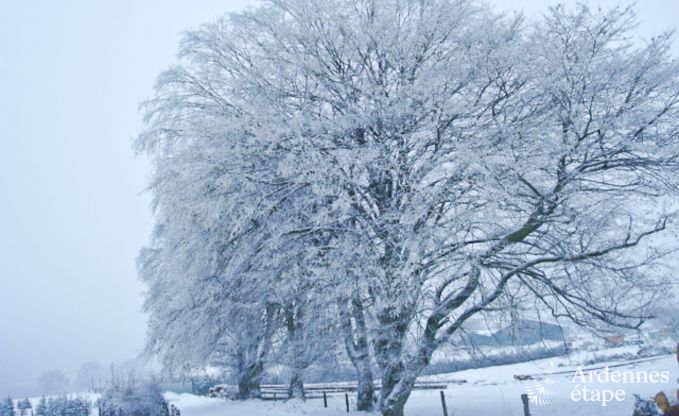 Ferienhaus Bertrix (Jehonville) 7 Pers. Ardennen Wellness