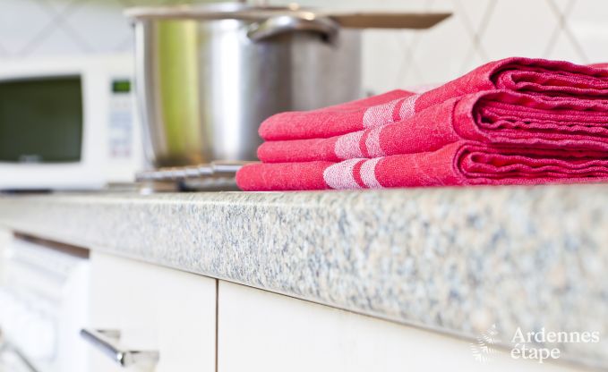 Ferienhaus Bertrix (Jehonville) 7 Pers. Ardennen Wellness