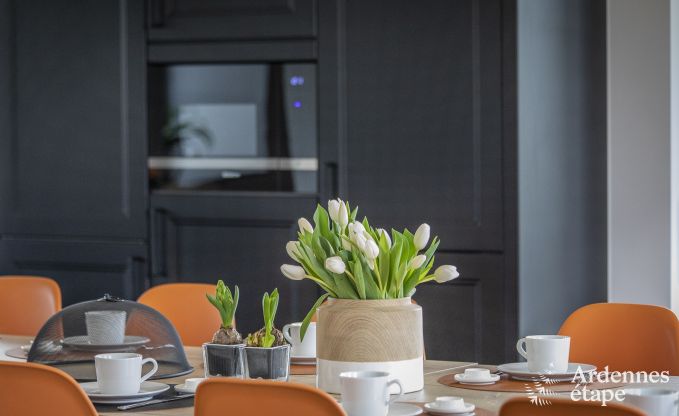 Wunderschnes Schloss in Bertrix: Unterkunft fr 20 Personen mit Hallenbad, Whirlpool und Infrarotkabine