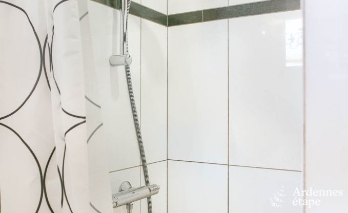 Ferienhaus Bertrix (Jehonville) 11 Pers. Ardennen Behinderten gerecht