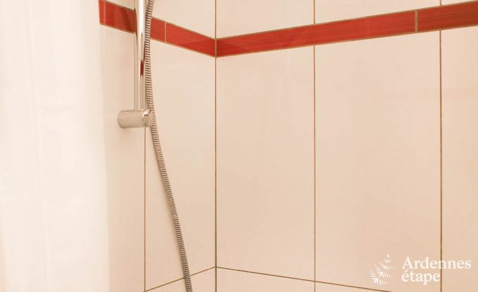 Ferienhaus Bertrix (Jehonville) 21 Pers. Ardennen Behinderten gerecht